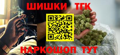 молекула духа Камень-на-Оби