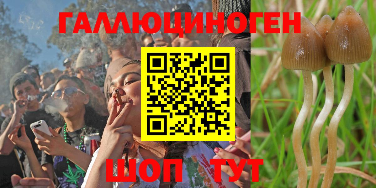 Галлюциногенные грибы MAGIC MUSHROOMS Улан-Удэ