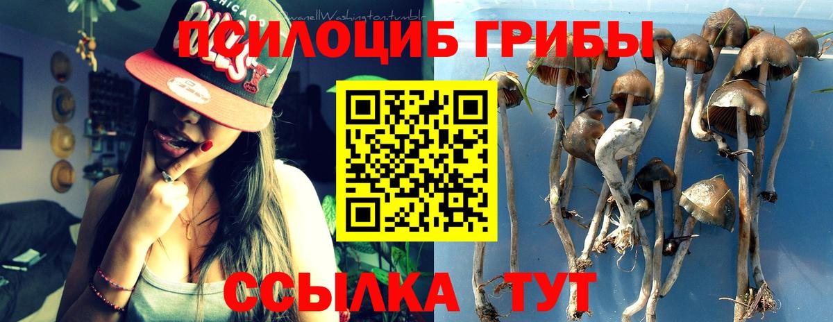 Улан-Удэ  Псилоцибиновые грибы ЛСД  Вход с VPN  Псилоцибиновые грибы MAGIC MUSHROOMS 